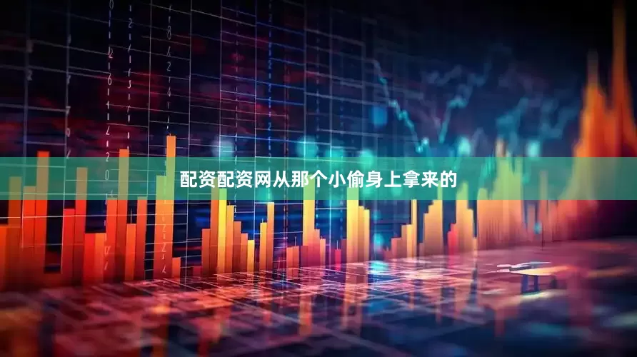 配资配资网从那个小偷身上拿来的